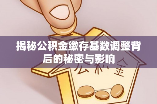 花坛揭秘公积金缴存基数调整背后的秘密与影响