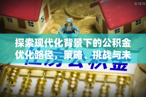 花坛探索现代化背景下的公积金优化路径，策略、挑战与未来展望