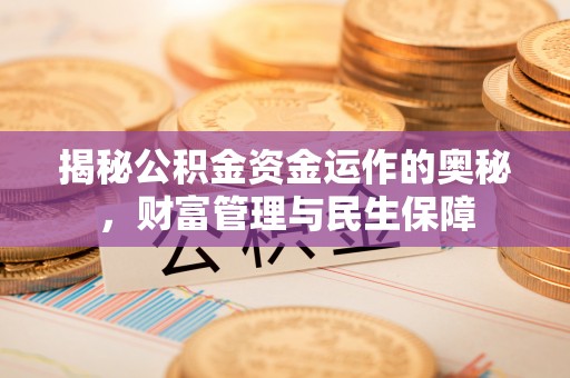 花坛揭秘公积金资金运作的奥秘，财富管理与民生保障